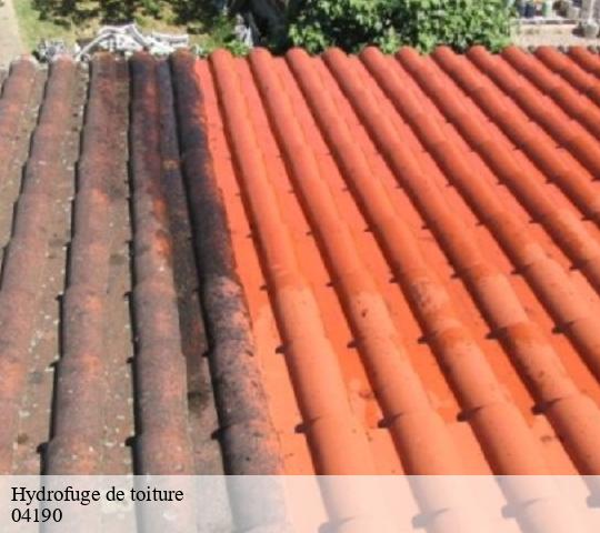 Hydrofuge de toiture  04190