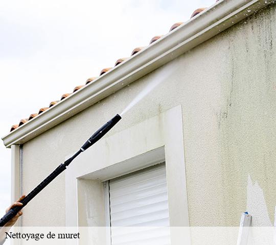 Nettoyage de muret