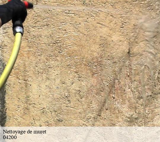 Nettoyage de muret  04200